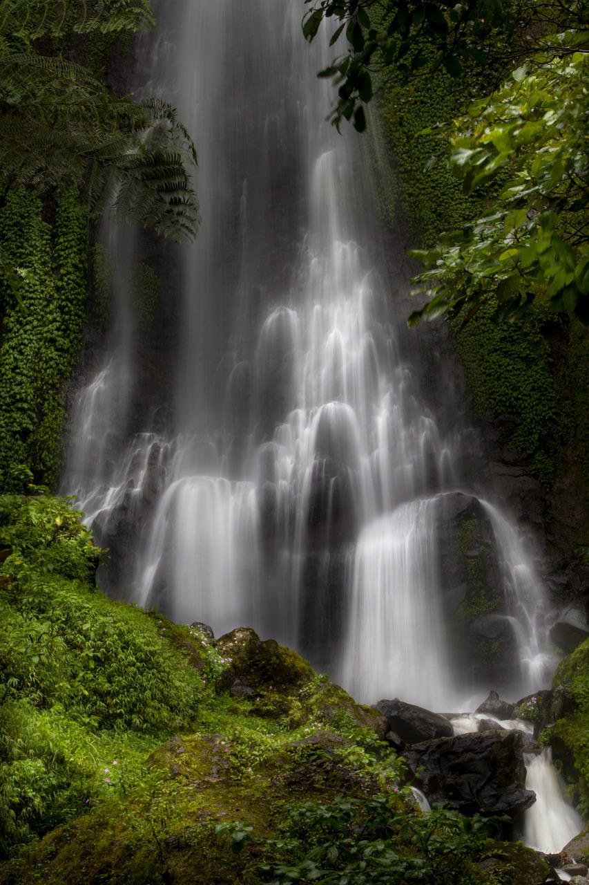 Waterfall in a forest